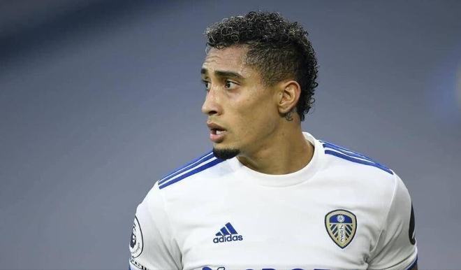 体育博彩算法软件市场研究